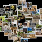 Bildercollage