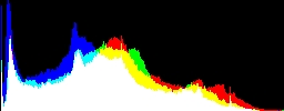 Histogram
