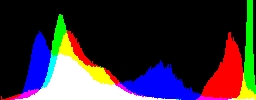Histogram