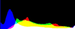 Histogram