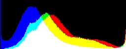 Histogram