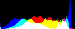 Histogram