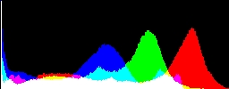 Histogram