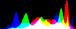 Histogram