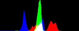Histogram
