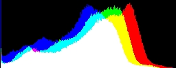 Histogram