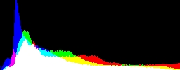 Histogram