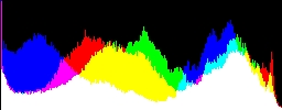 Histogram