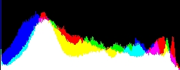Histogram