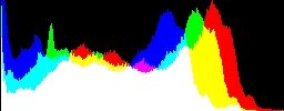 Histogram