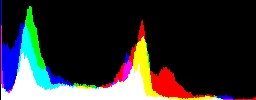 Histogram
