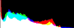 Histogram