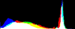 Histogram