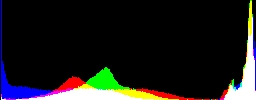 Histogram