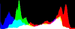 Histogram