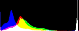 Histogram