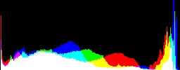 Histogram