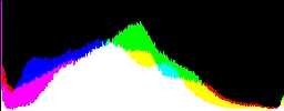 Histogram