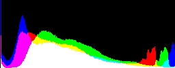 Histogram