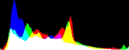 Histogram
