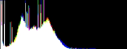 Histogram