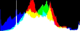 Histogram