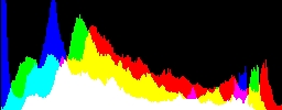 Histogram