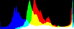 Histogram