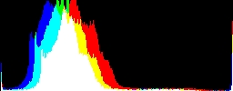 Histogram