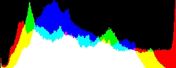 Histogram