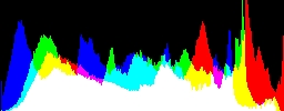 Histogram