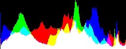 Histogram