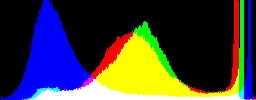 Histogram
