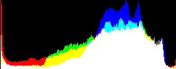 Histogram