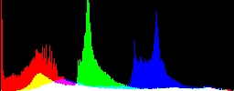 Histogram