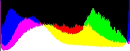 Histogram
