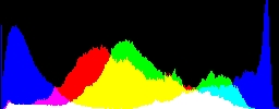 Histogram