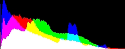 Histogram