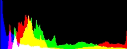 Histogram