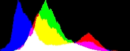 Histogram
