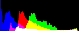 Histogram