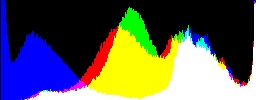 Histogram