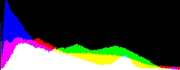 Histogram