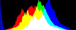 Histogram