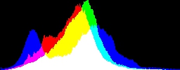 Histogram