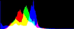 Histogram