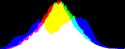 Histogram