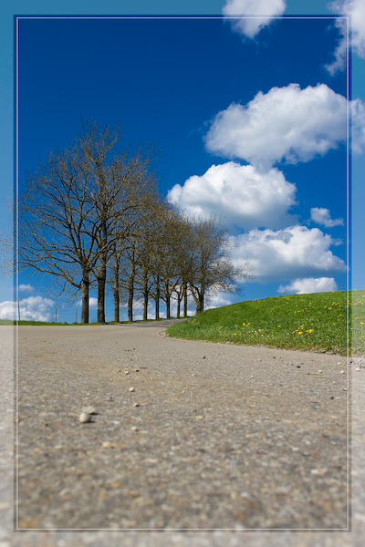 Auf dem Weg