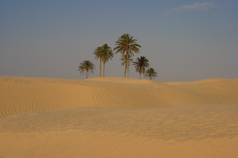 Die Sahara