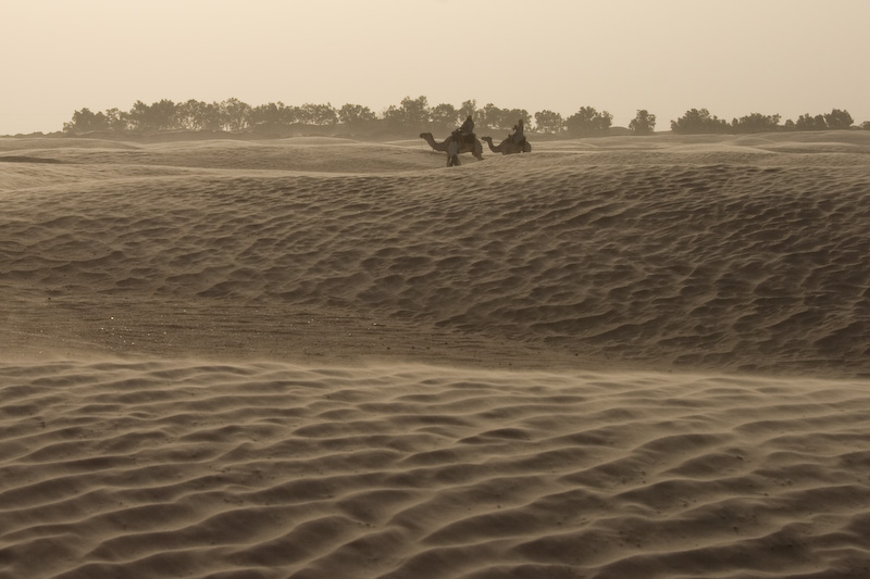 Die Sahara
